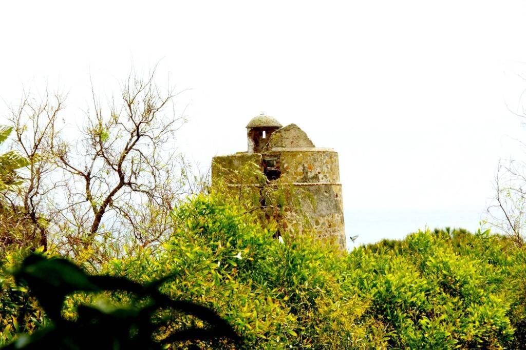 Torrenueva *