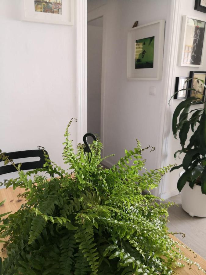 My Quiet House Homestay