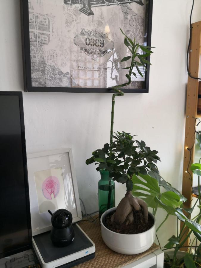 My Quiet House