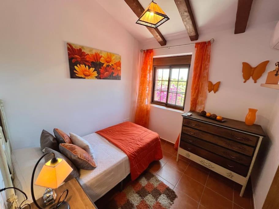 Naranjos Malaga