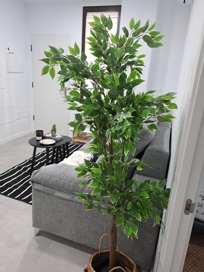 Apartment Jara Bajo B Malaga