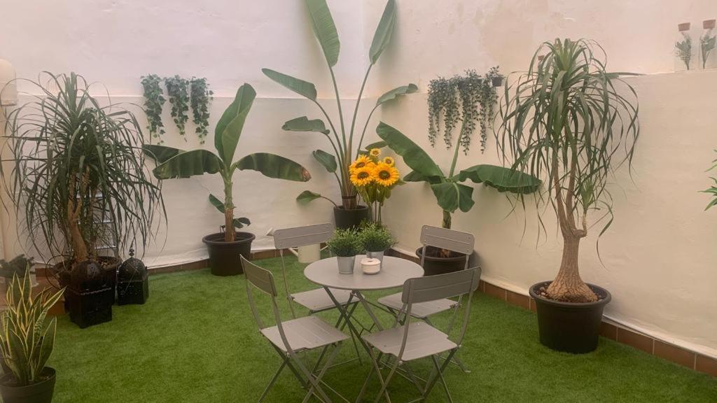 Apartamento Maclea
