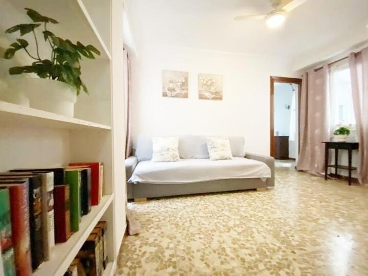 Apartment En El Centro Amplio Y Confortable Malaga