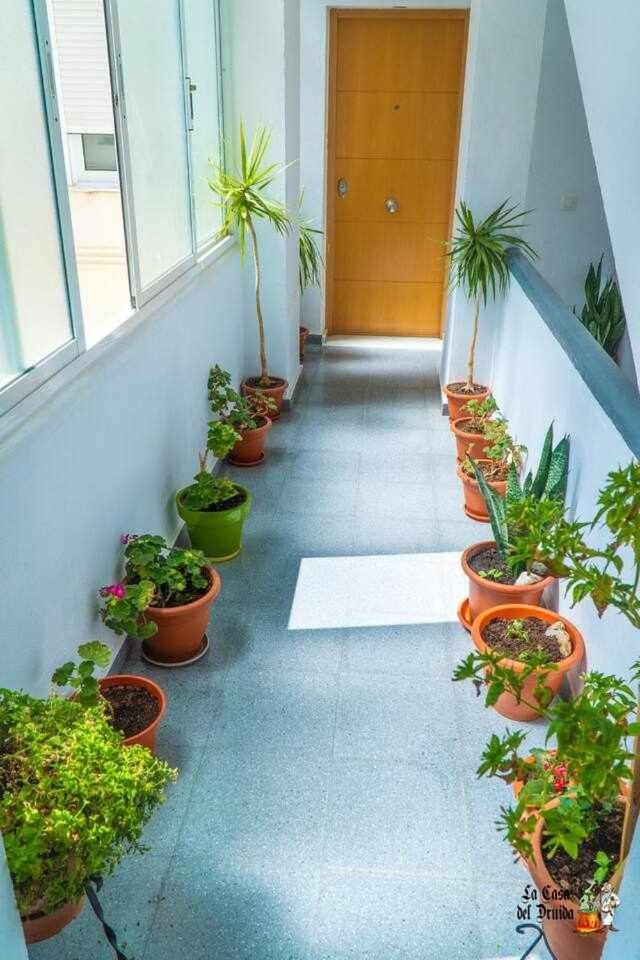 La Casa Del Druida *