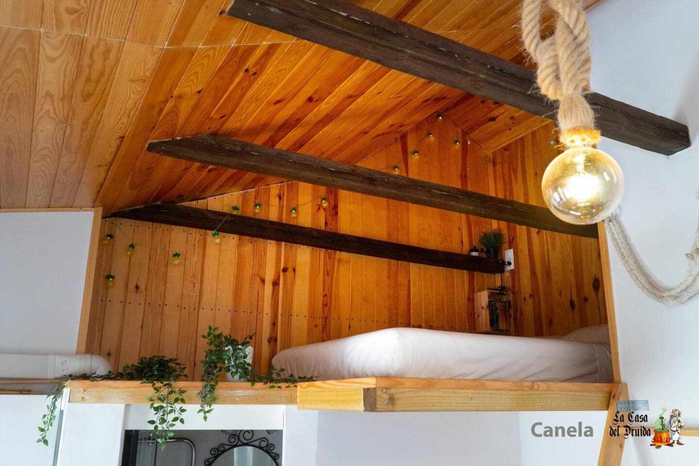 La Casa Del Druida Apartment