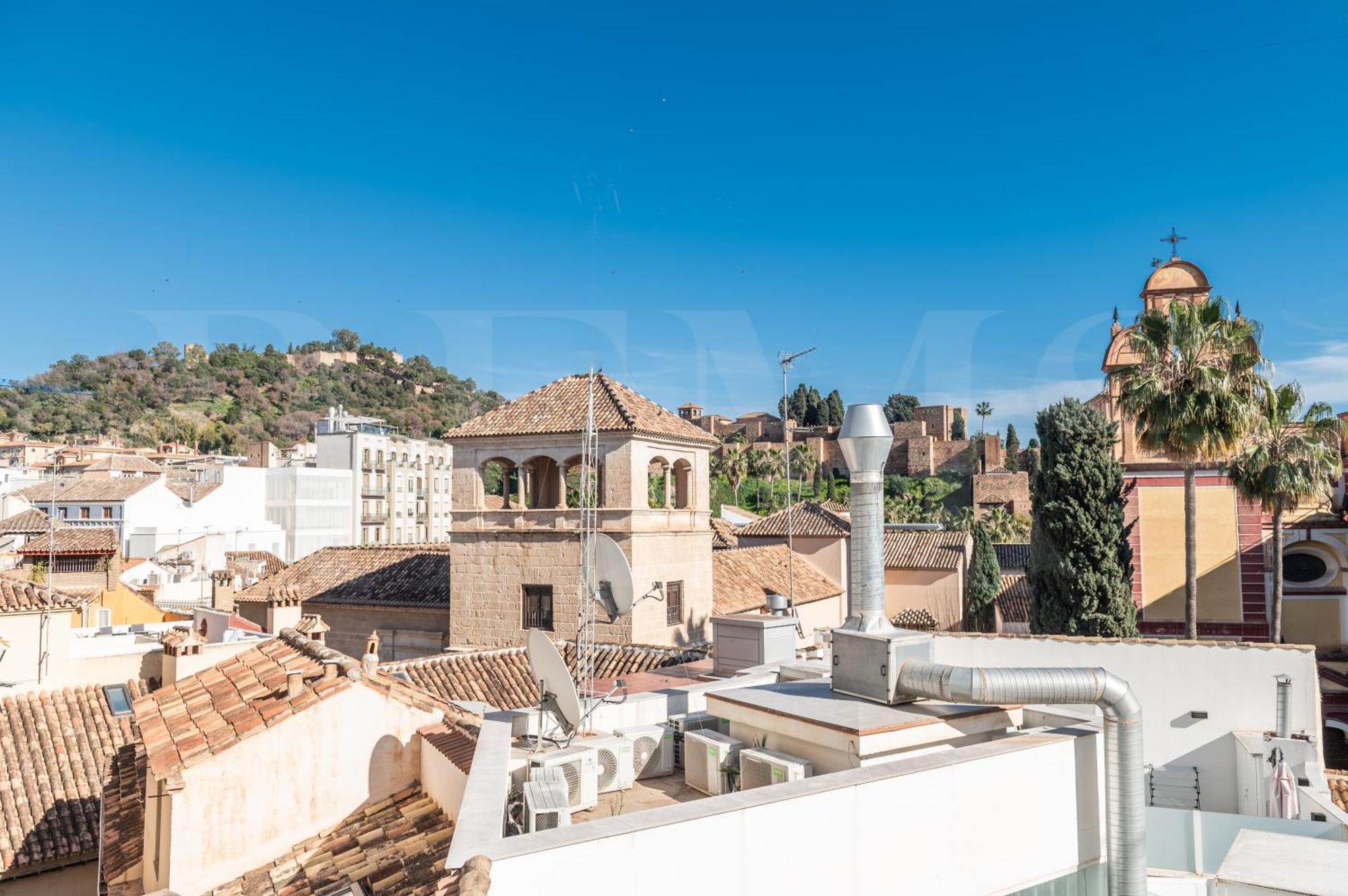 Apartment Penthouse With Terrace And Cathedral Views By Rems Malaga