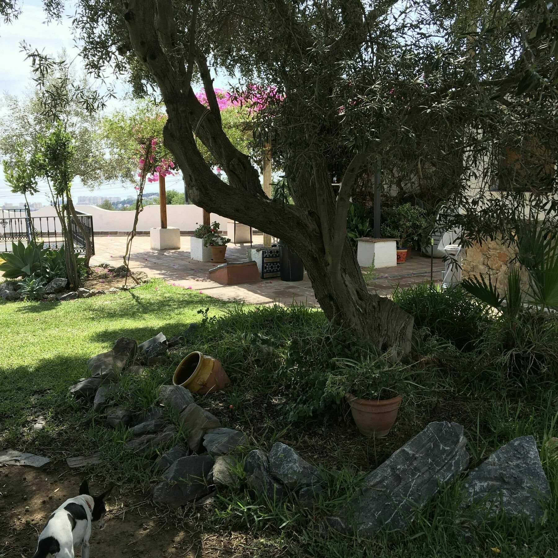 Carpe Diem De Villa Malaga