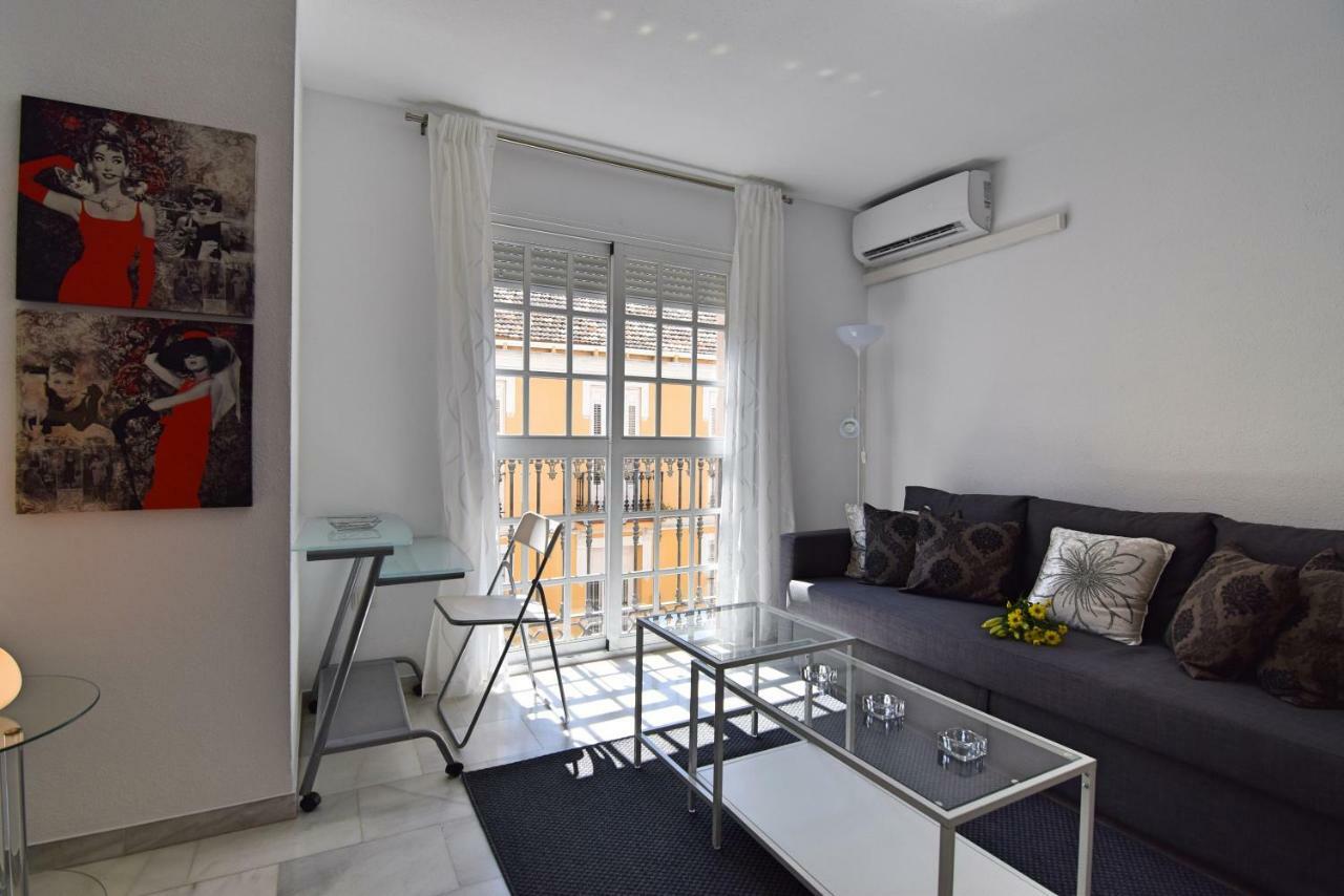 Apartamento General Ibanez Apartment