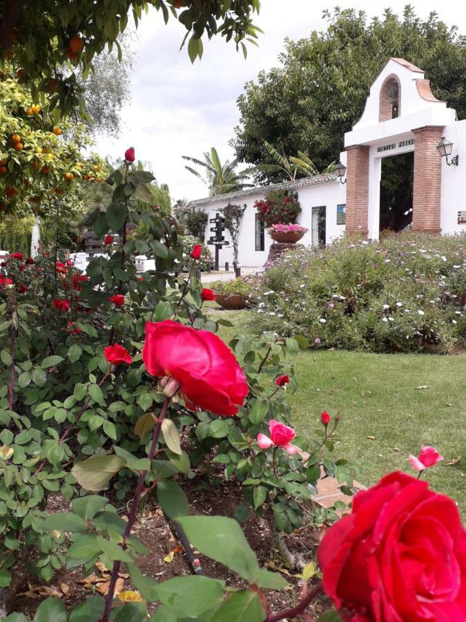Apartment Lilia Lauro Golf