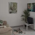 Malaguetor Home Colon