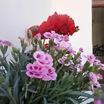 Apartamento \