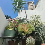 Terraza en Centro Historico