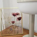 Romantico Apartamento Centrico