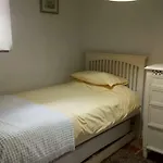 Casita Gecko