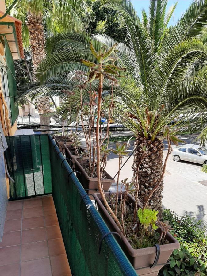 Apartment New & Parking Alcazaba *