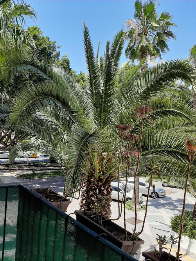 Apartment New & Parking Alcazaba