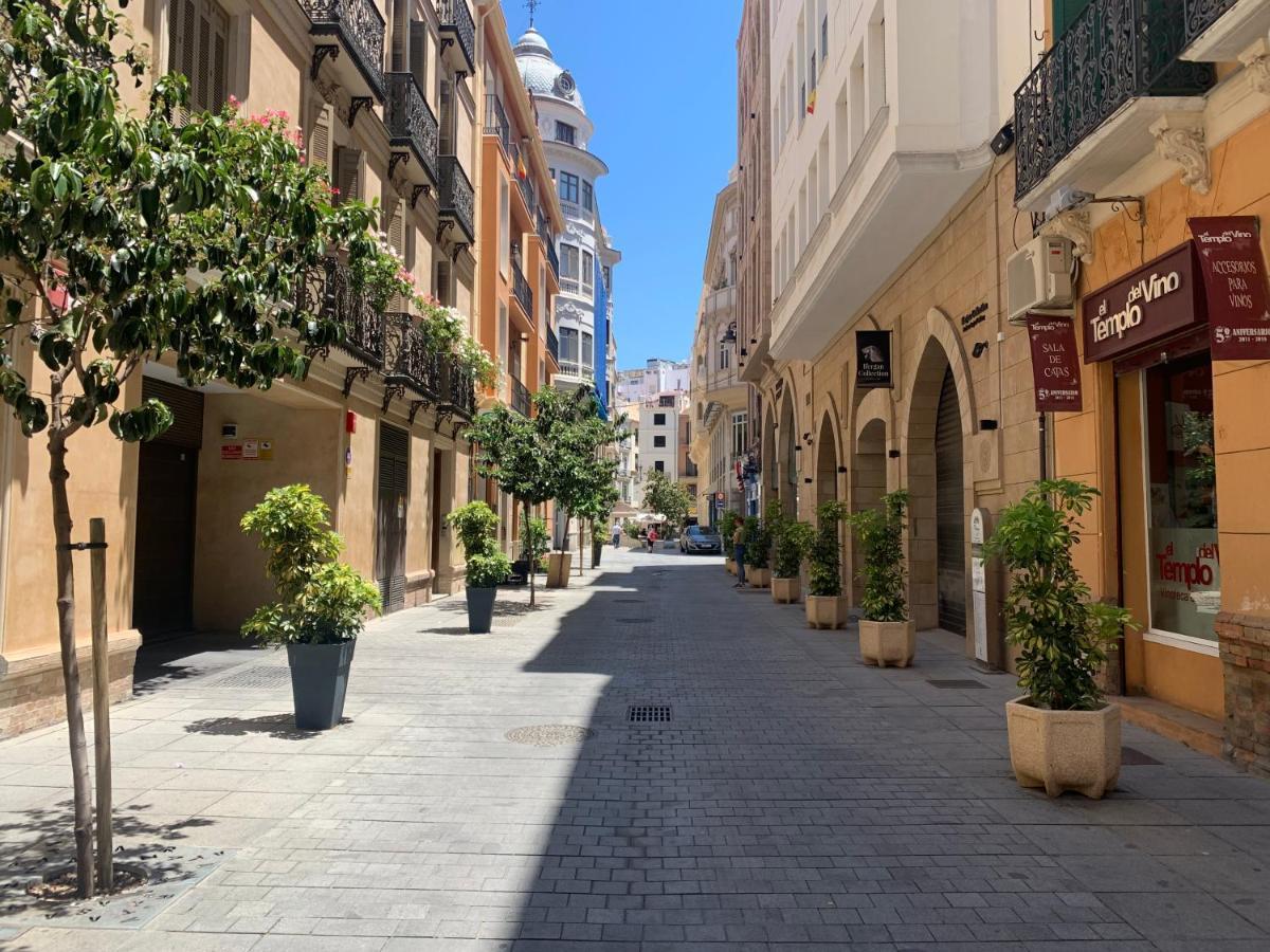Homely Luxury Atarazanas Malaga