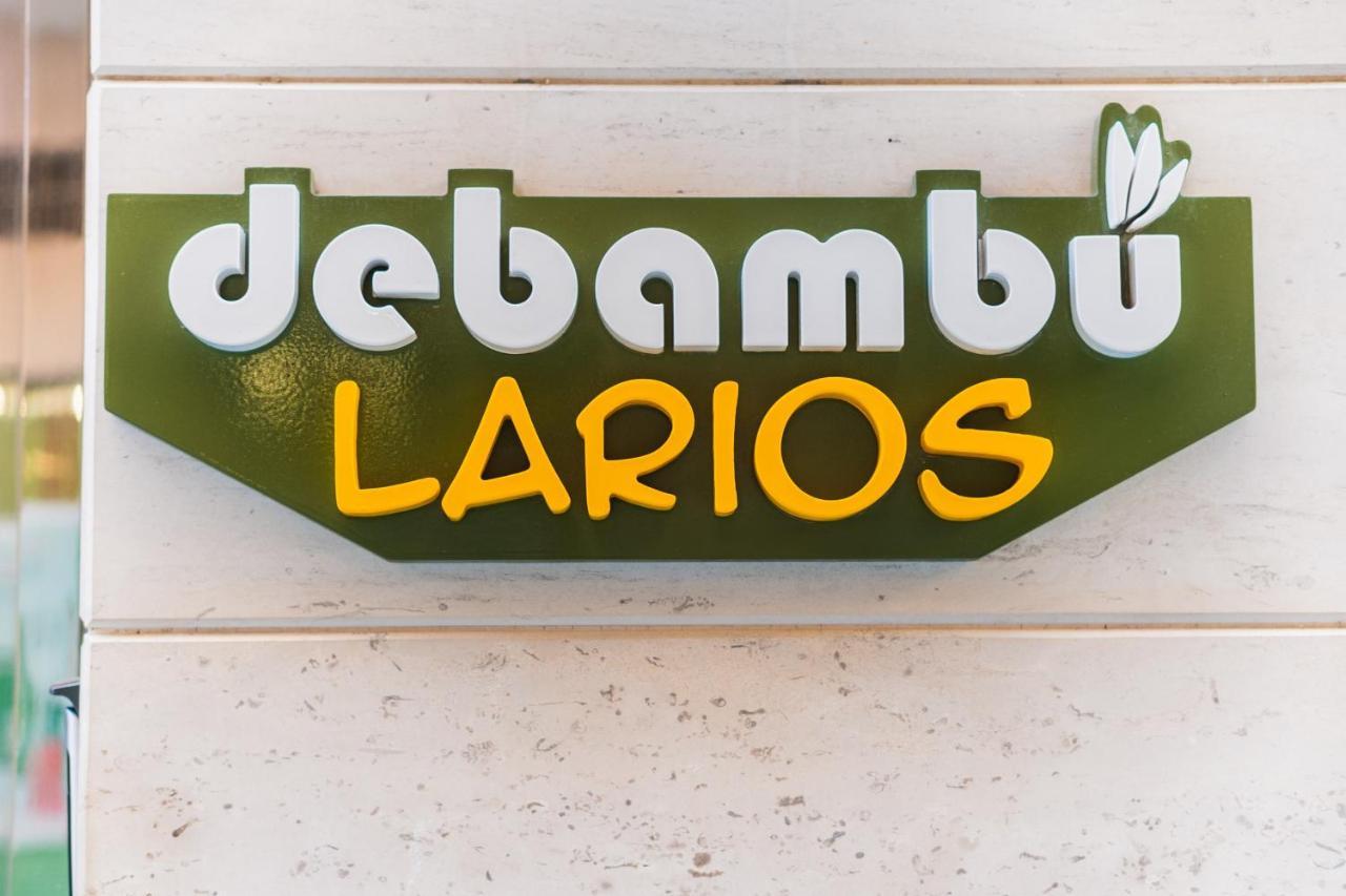 Debambu Larios Malaga