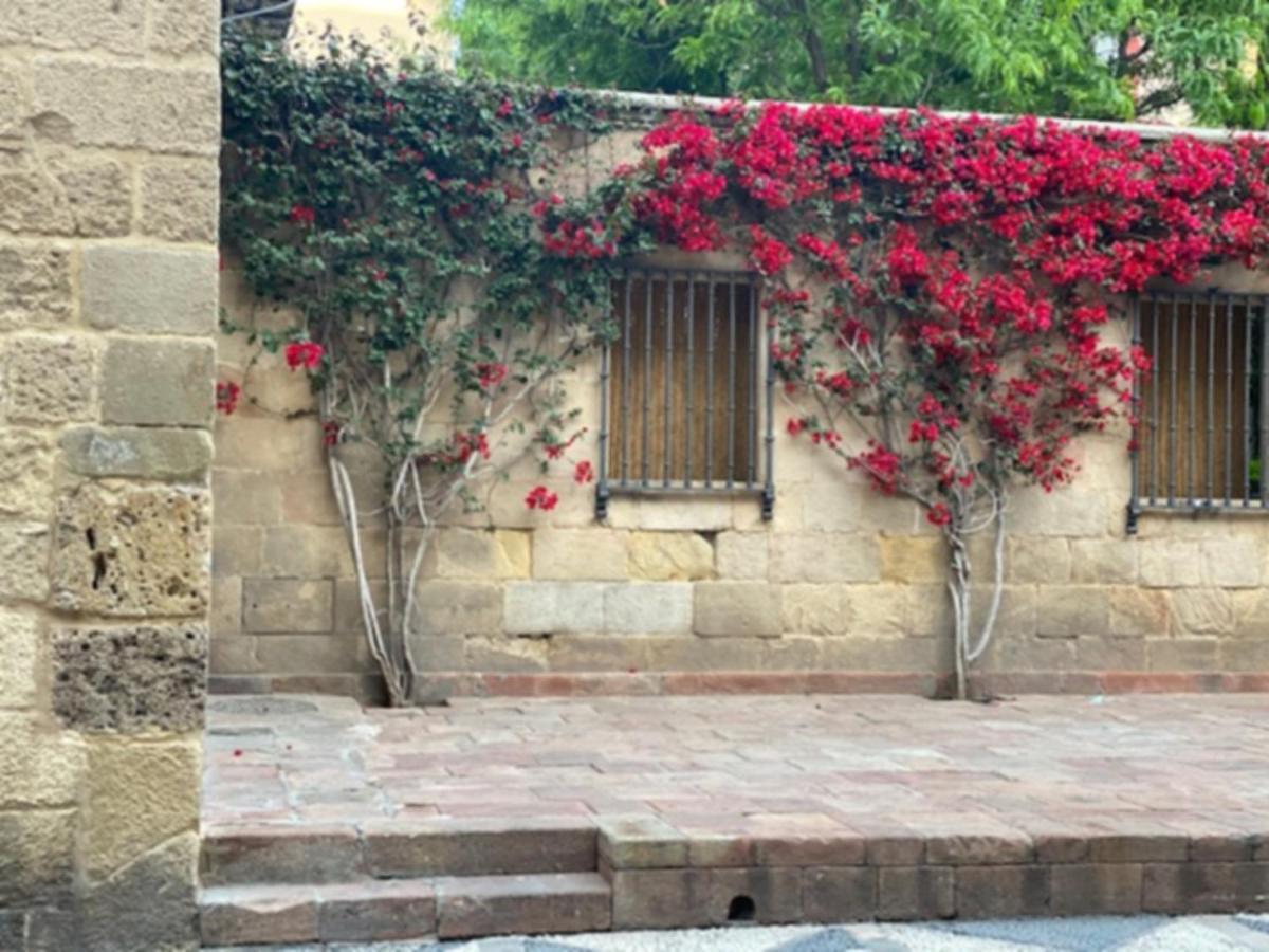 La Manquita Apartamento Málaga