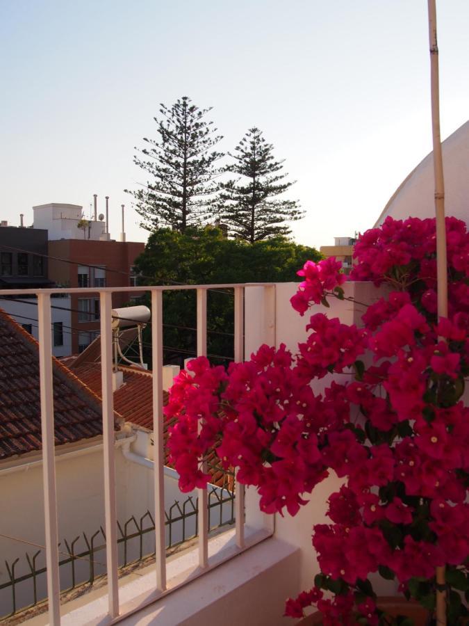 Apartment 9 Malaga, Three Unique With Private Plunge Pool Malaga