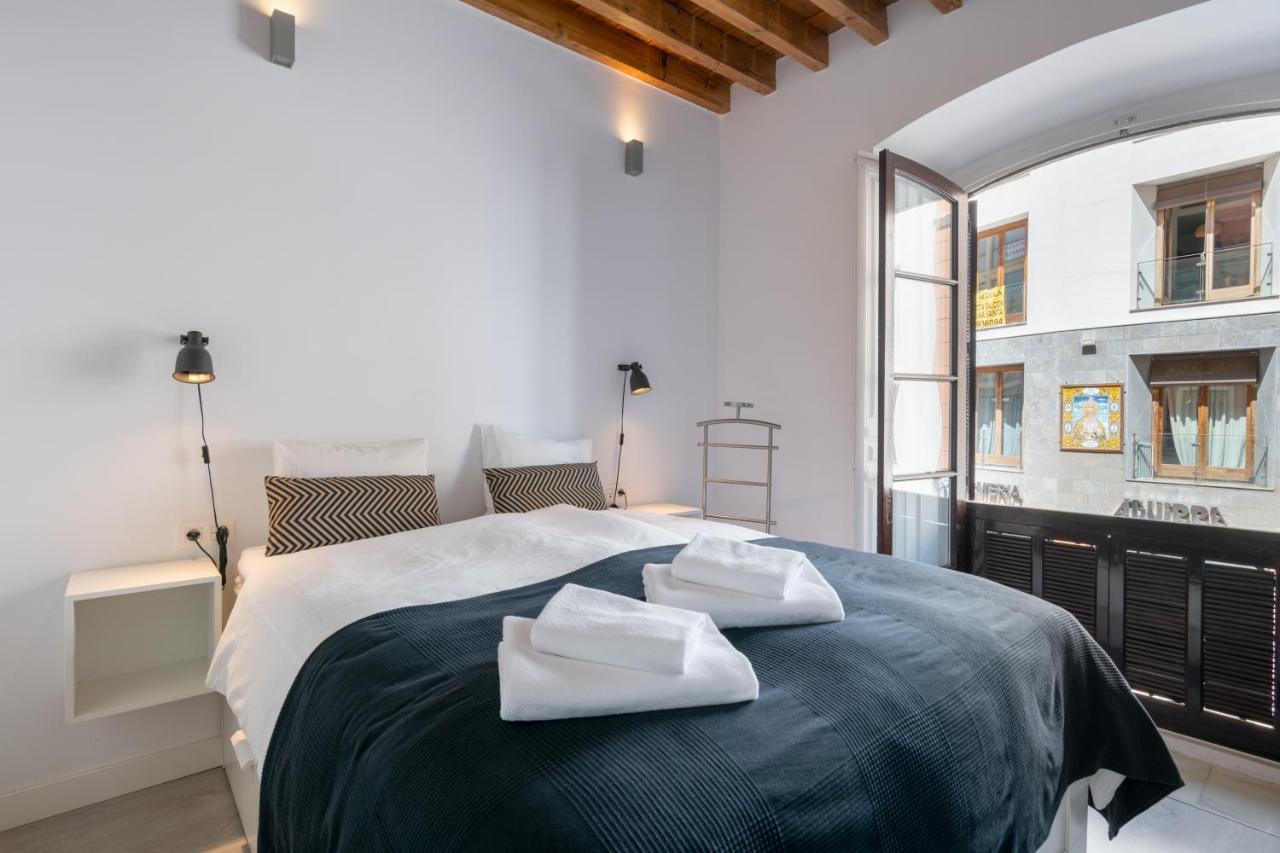 Historical Center Apartment Malaga