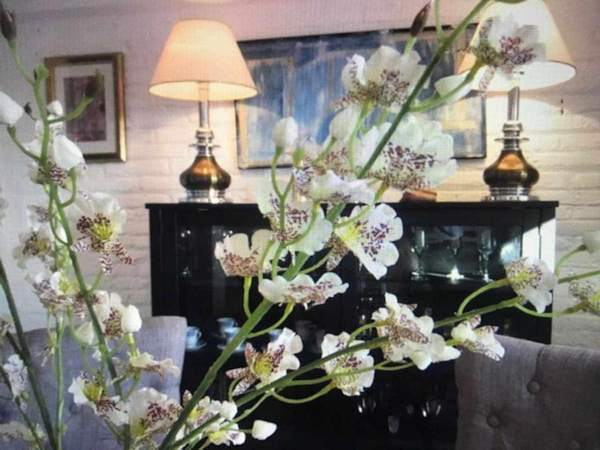 Luxury Old Town Cervantes Paz En El Casco Antiguo Apartment *