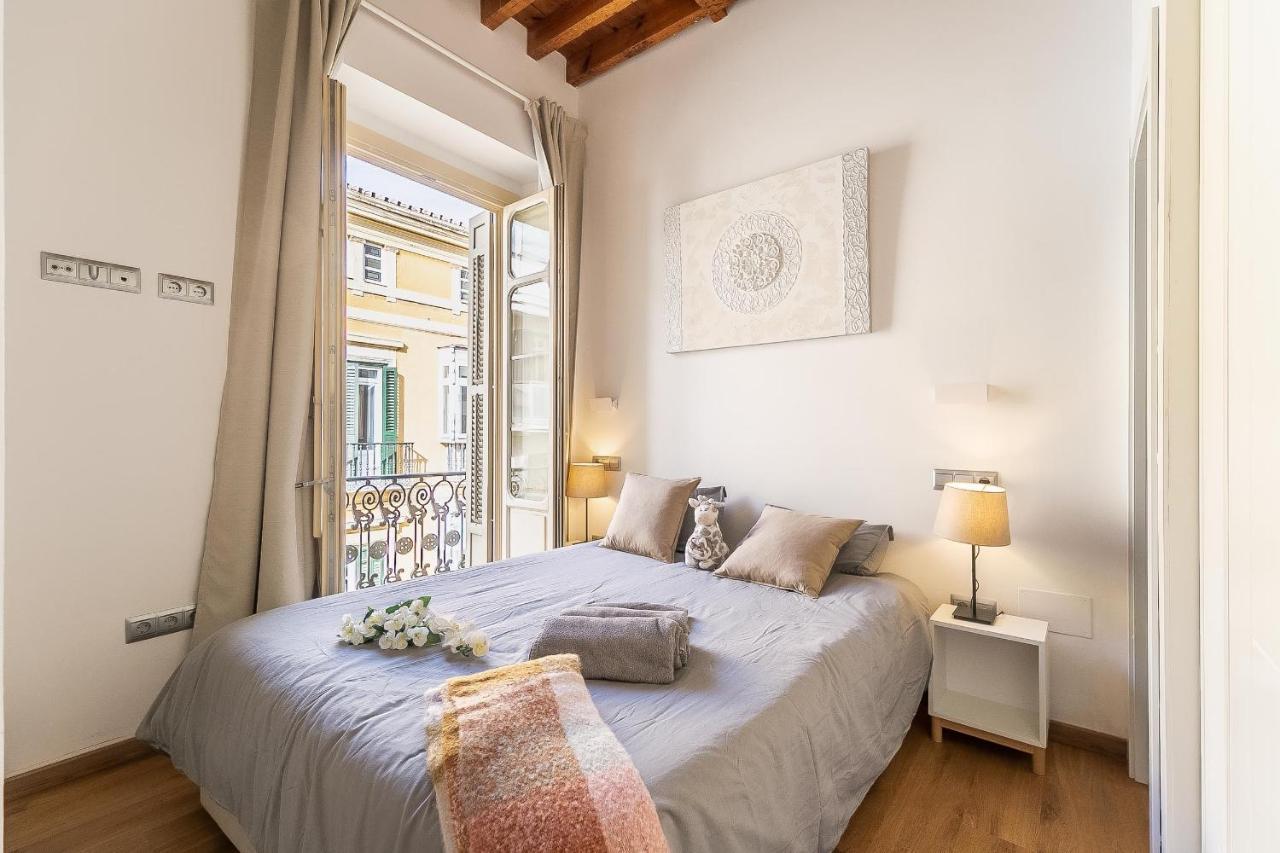 Deluxe Larios Center Apartment *