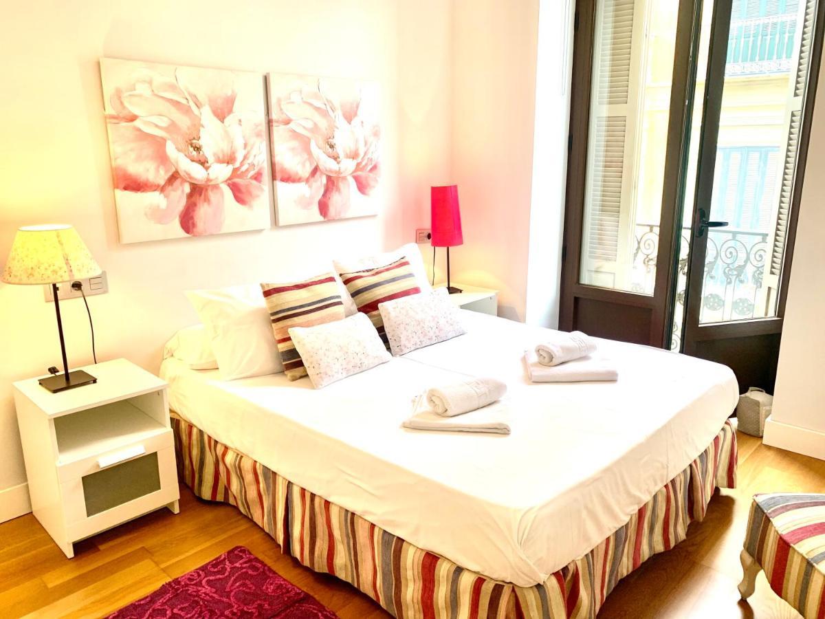 Apartment Homely Luxury Sebastian Souviron