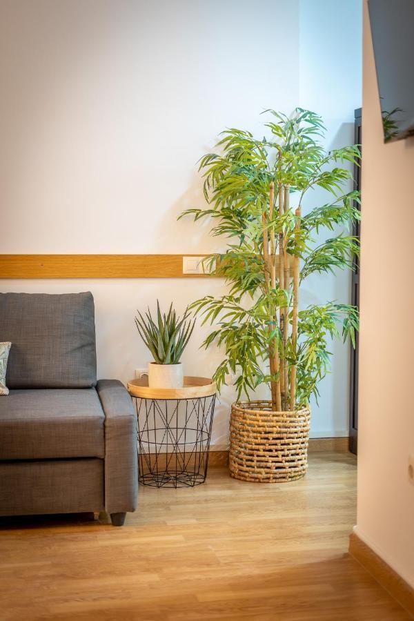Historic Centre Mitjana Appartement