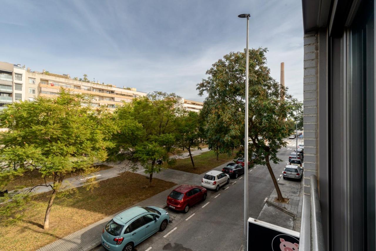 Apartment Daria Gran Terraza By Alohamalaga *