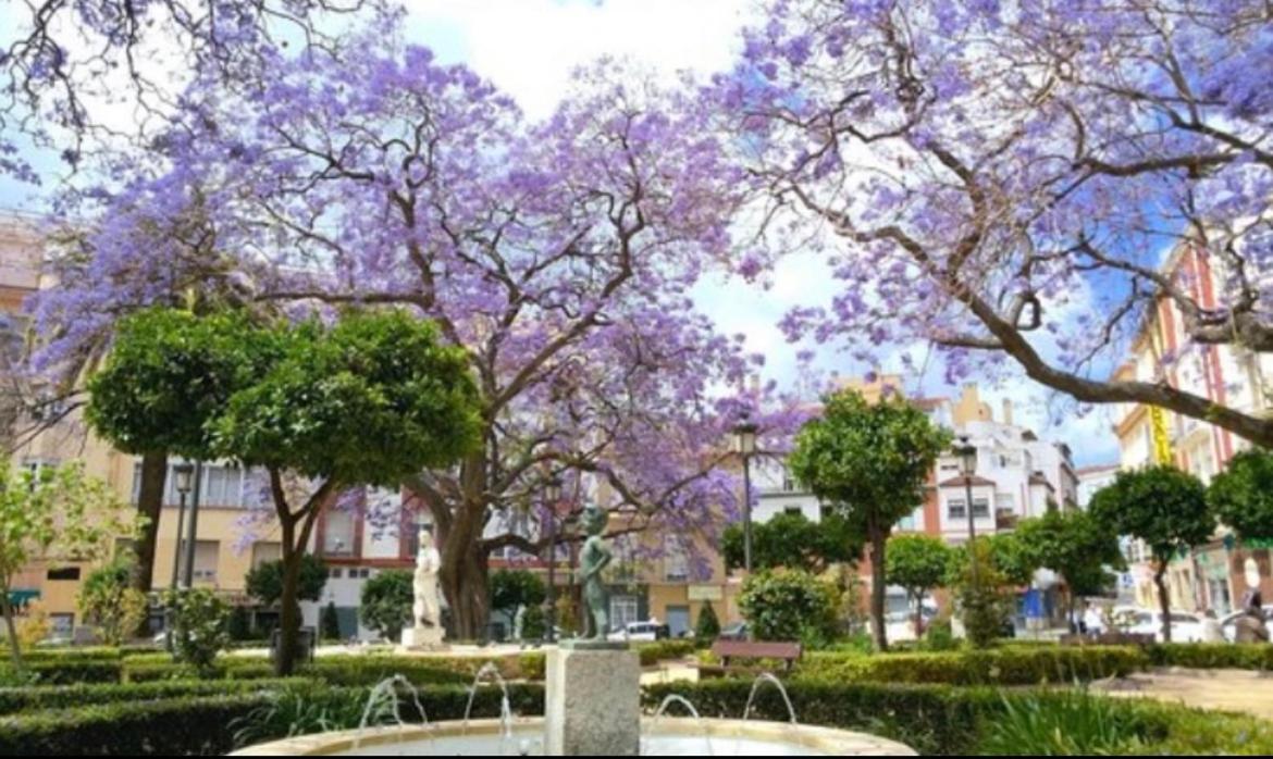 Apartment Historical Center Ollerias *