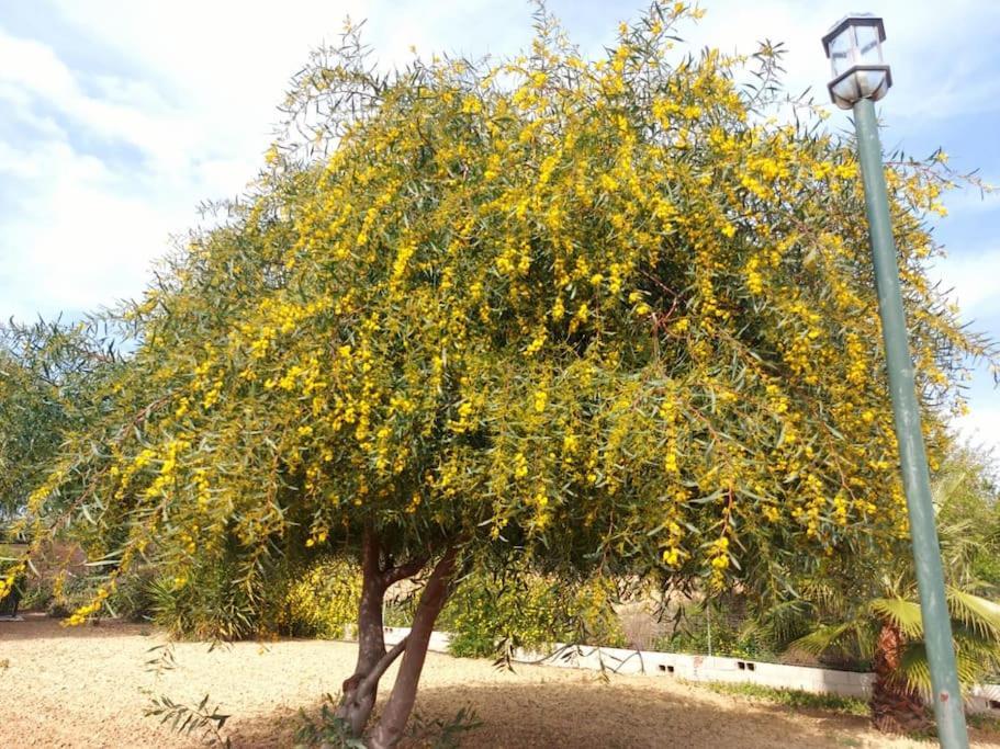 Andalusian With Barbecue, Pool And Wifi Holiday home *
