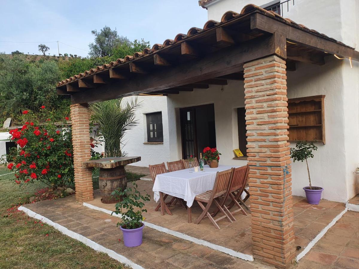 Casa Del Rio Malaga