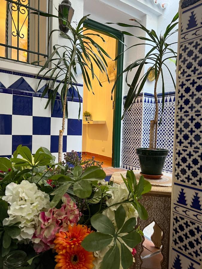 Apartment Iyourbasics Lovely Hinestrosa 23 Free Wifi&ac *