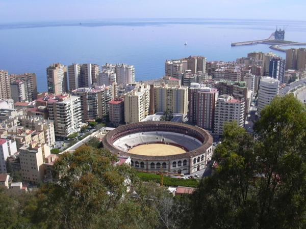 Malaguetor Colon * Malaga