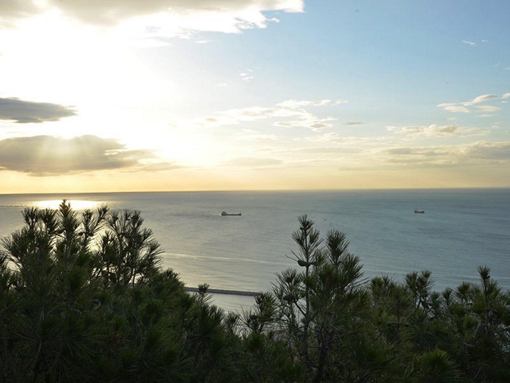 Don Curro Malaga