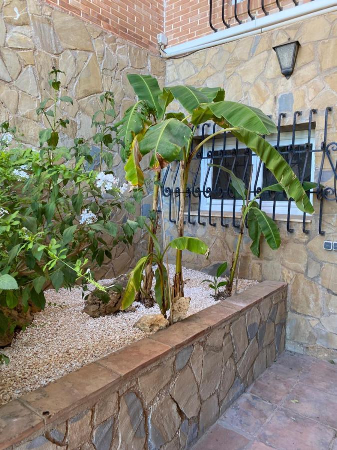 Botanica Bed & Breakfast