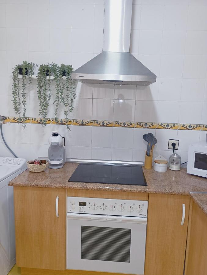 Vacational Homes South Organic Apartment