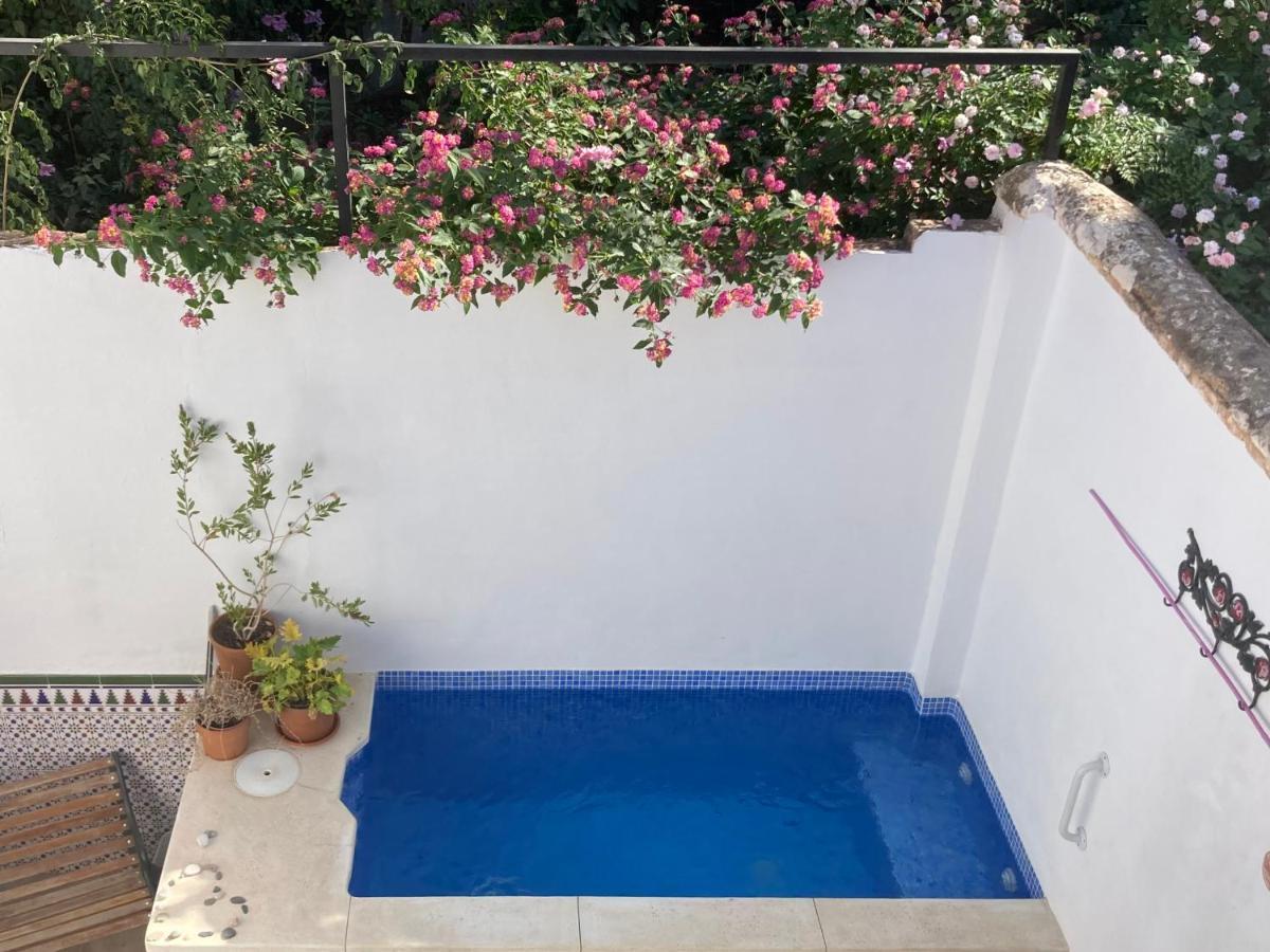 Appartement Casa Clemente 32, Private House With Plunge Pool