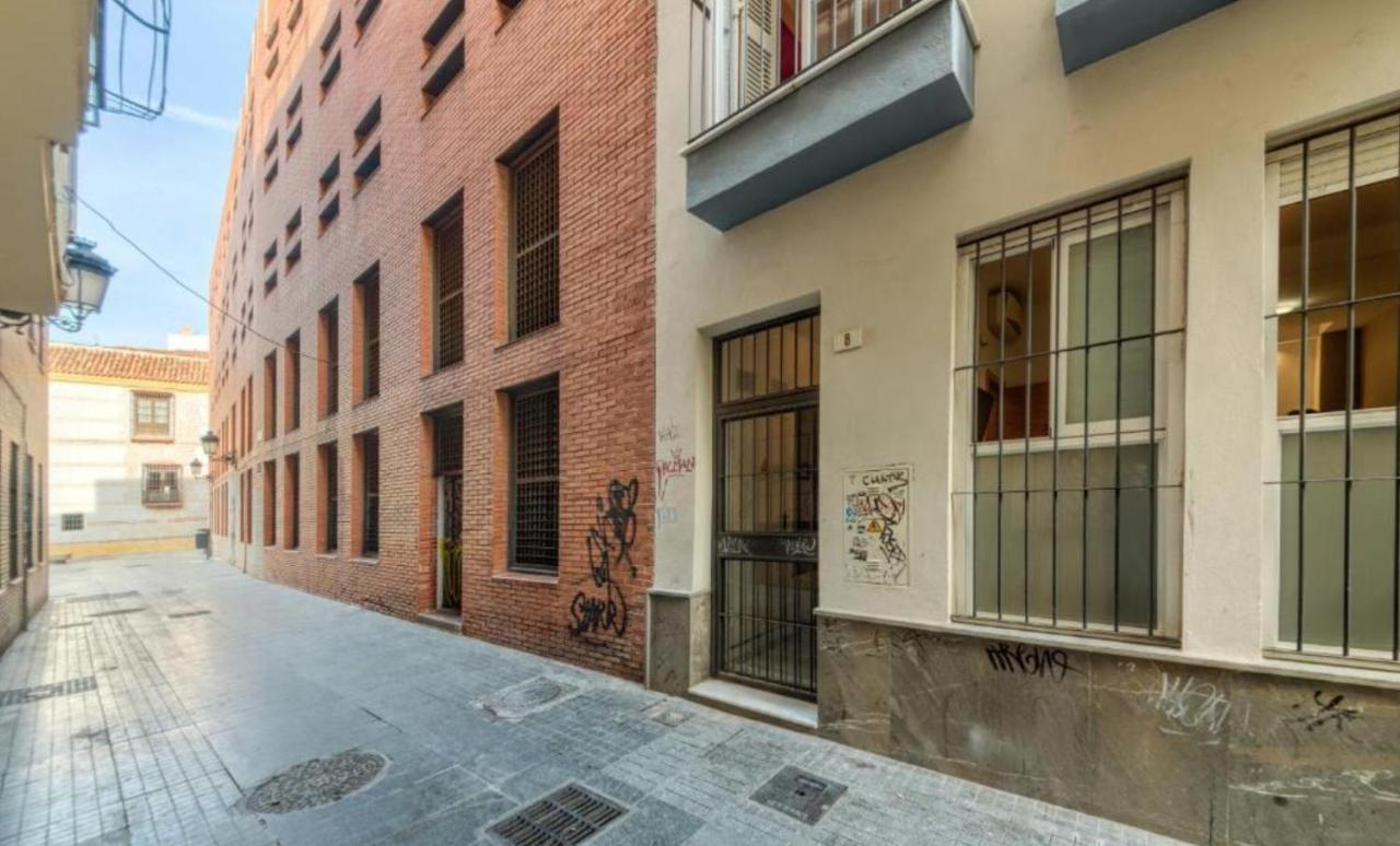 Novam Malaga