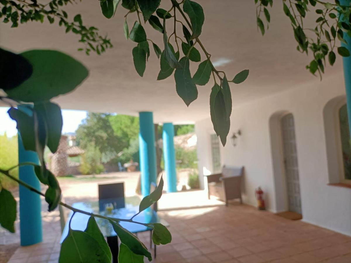 Tottam Art & Healthy Garden Lodge Málaga