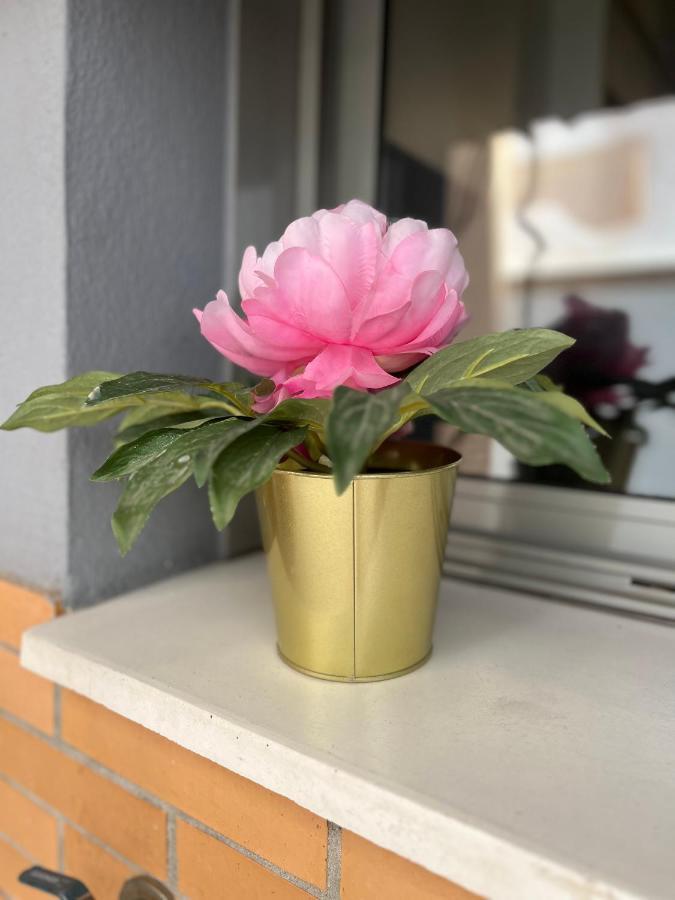 Rent4 Armengual Apartment Malaga