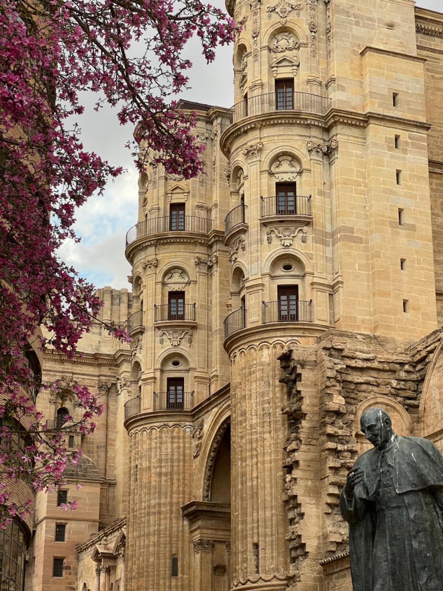 Apartment Premium - Cathedral Of *