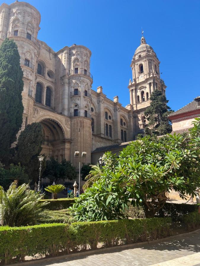 Premium - Cathedral Of Malaga