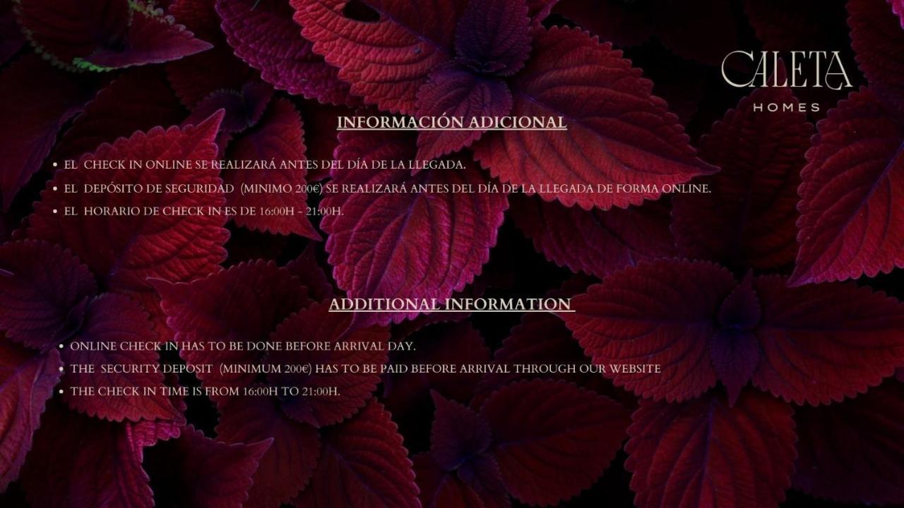 Caleta Homes - Ancha Del Carmen Apartment *