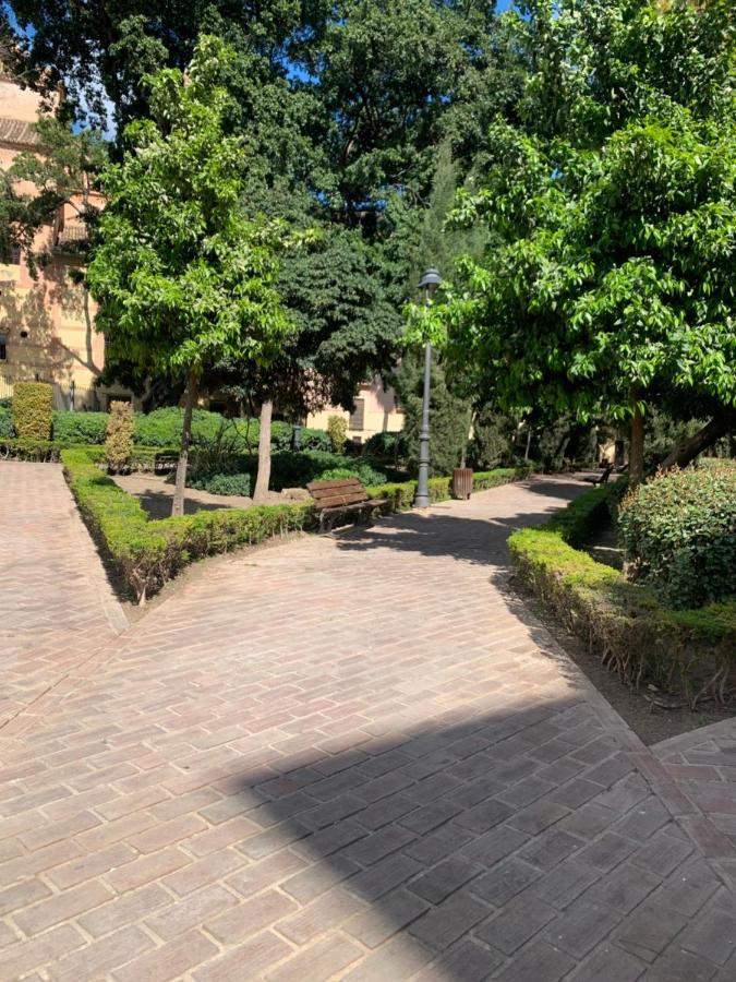Appartement San Patricio 7 *