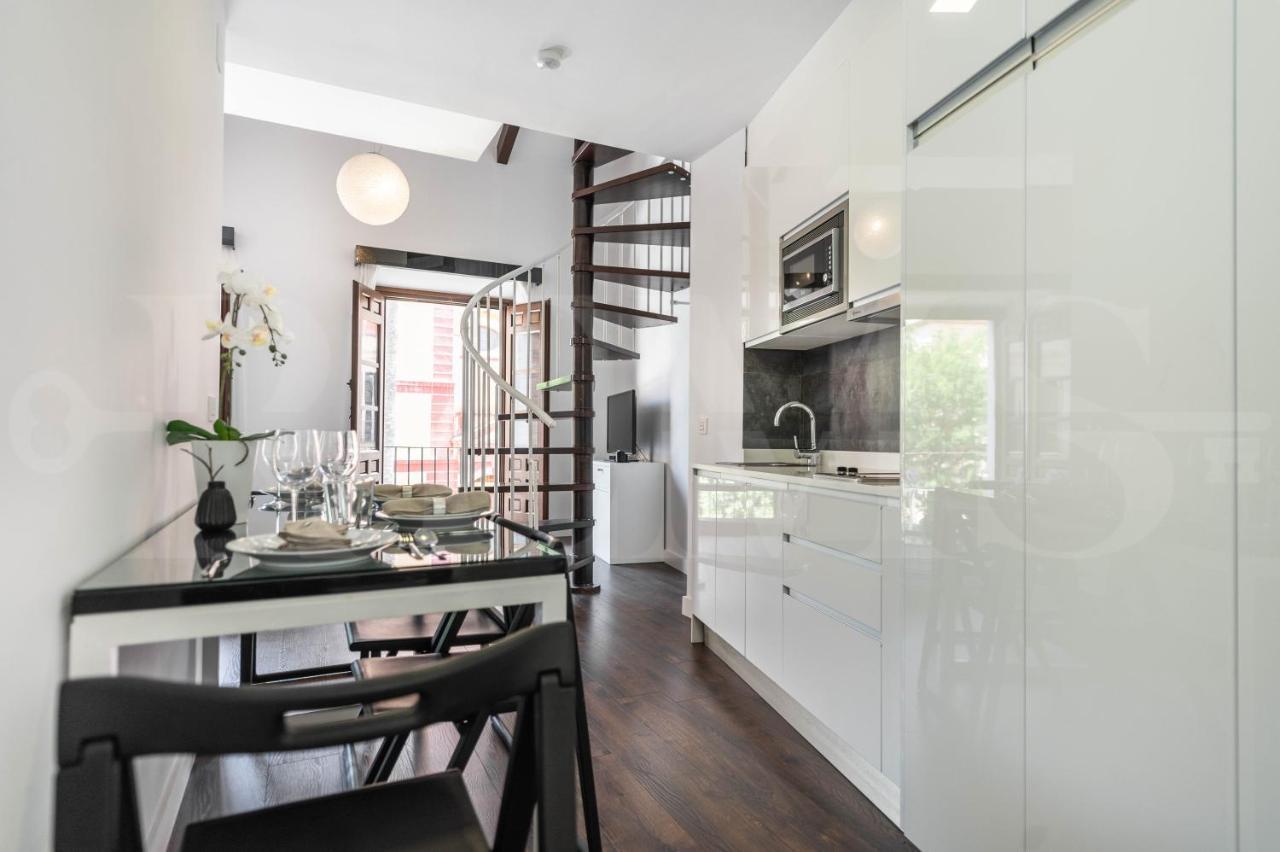 Spacious Duplex With Terrace By Picasso Museum By Rems Apartment *