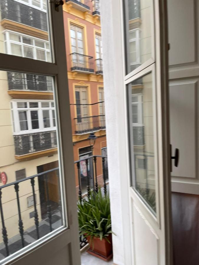 Ancha Del Carmen Apartment Malaga