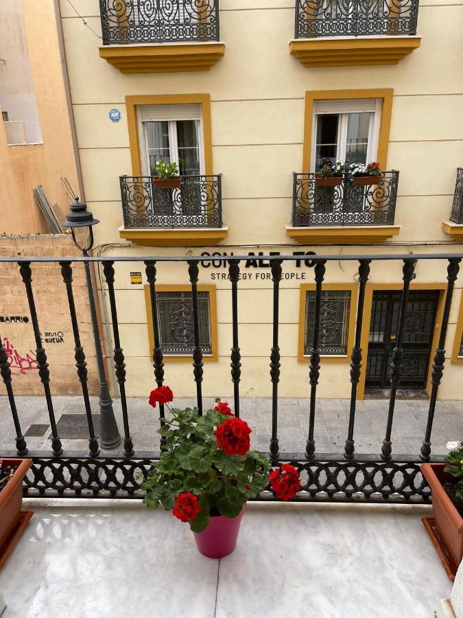 Apartment Ancha Del Carmen *