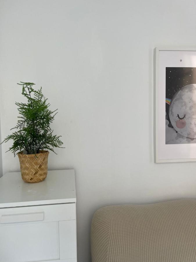 Ancha Del Carmen Apartment *